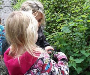 Picking nettles for soup