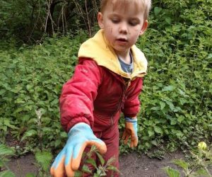 Picking nettles for soup