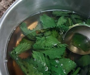 Soup cooking