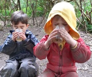 Drinking nettle soup