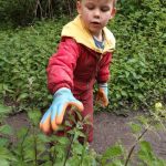 Picking up stinging nettles