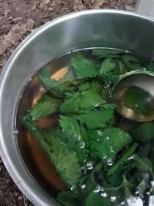 Stinging nettle soup