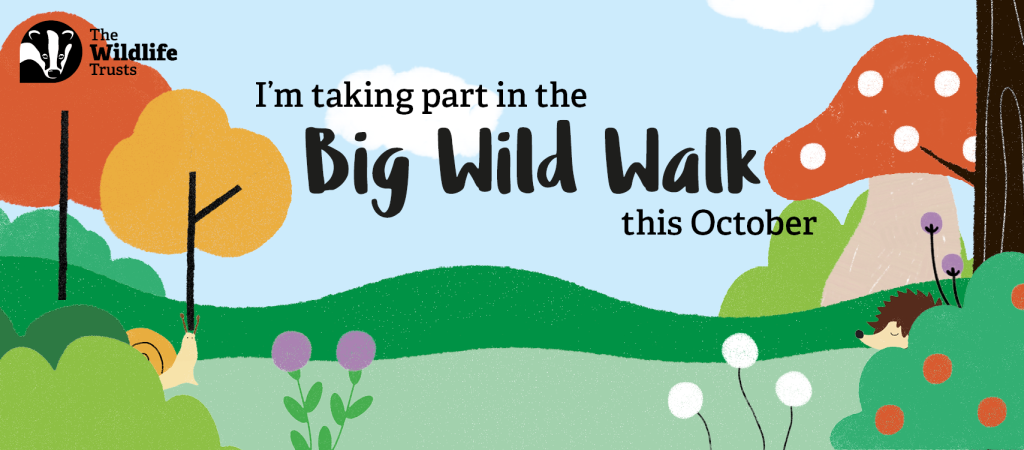 I'm taking part in the Big Wild Walk this October
