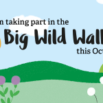 I'm taking part in the Big Wild Walk this October